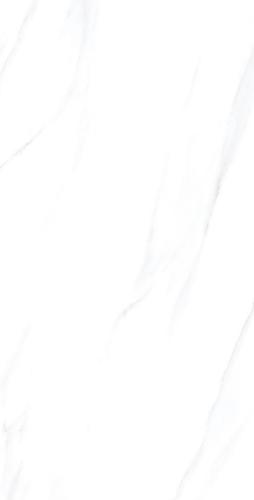 H84303-6