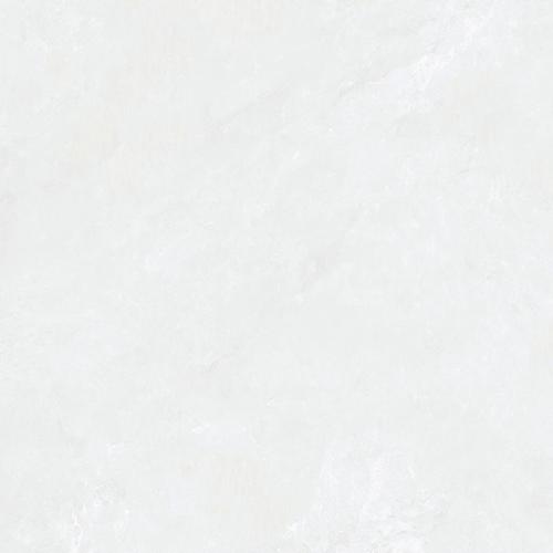 HJG88001-2