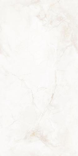 WJ715JDK501寒江雪·霜织幻境-(2)