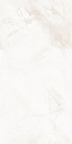 WJ715JDK501寒江雪·霜织幻境-(3)