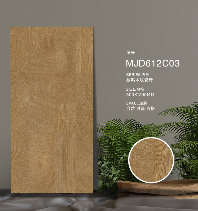 MJD612C03_02.jpg